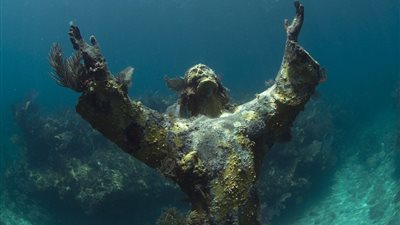 بالفيديو والصور.. شاهد أسرار الحياة البحرية في قاع المحيط