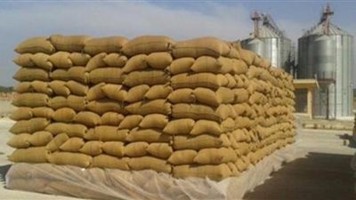 169 ألفا و664 طنا رصيد صومعة ميناء دمياط من الحبوب والغلال