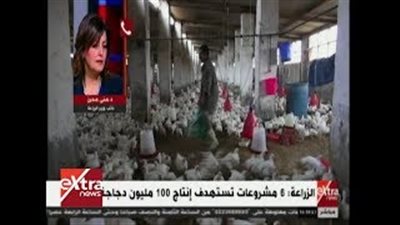 الزراعة: الدولة حريصة على النهوض بالثروة الداجنة