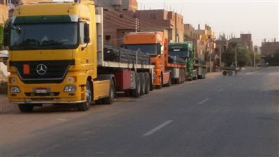 زيادة رسوم خروج البرسيم الحجازى من الوادي الجديد