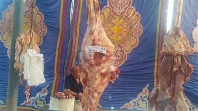 افتتاح معرض «أهلًا رمضان» للسلع الغذائية بجامعة طنطا (صور)