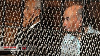 إيداع «عاطف» و«والي» قفص الاتهام وبدء المحاكمة في «جزيرة البياضية»