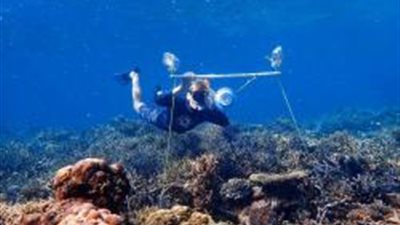 مكبرات صوت تحت الماء لاستعادة الشعاب المرجانية التالفة