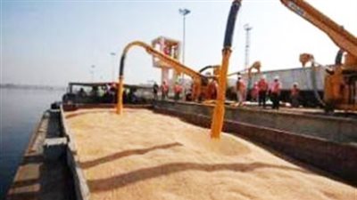 مخزون القمح بميناء الإسكندرية يصل إلى 925 ألف طن