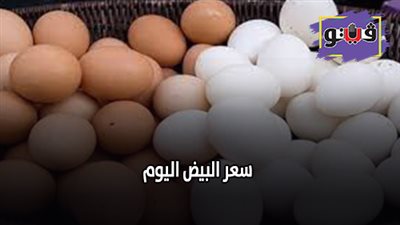 سعر البيض اليوم.. البيض يواصل التراجع