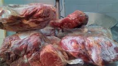 ضبط لحوم غير صالحة للاستهلاك الآدمي داخل ثلاجة في الغردقة