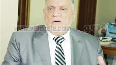 أحمد عمر هاشم: الشيعة 