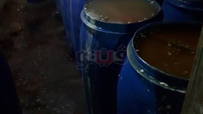 إغلاق مصنعي مخللات وضبط 25 طن ورق عنب فاسد في الدقهلية (صور)