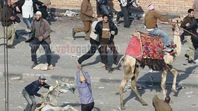 بلاغ للنائب العام يطالب بوقف الإفراج عن متهمي موقعة الجمل