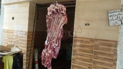 ضبط 300 كيلو سمك فاسد بديرب نجم في الشرقية (صور)