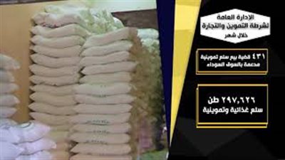 مصادرة 813 ألف لتر مواد بترولية و18 ألف أسطوانة بوتاجاز (فيديو)