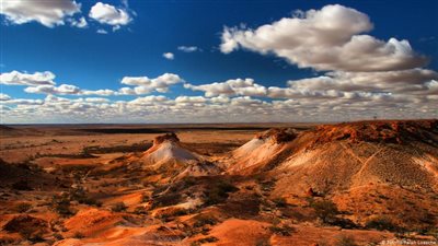 العثور على امرأة اختفت 14 يوما في الصحراء!