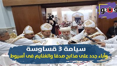 سيامة 3 قساوسة وآباء جدد على مذابح صدفا والغنايم في أسيوط (فيديو وصور)