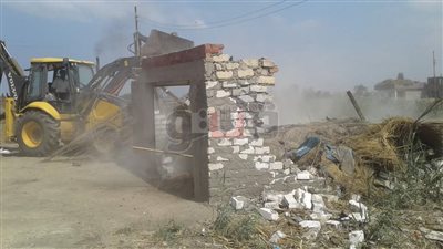 إزالة 55 حالة تعد على أملاك الدولة في المنزلة والجمالية (صور)