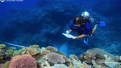 الموسيقى الحل الأمثل لإنقاذ الشعاب المرجانية في قاع المحيط (فيديو)