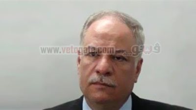 ابن شقيق الإمام الأكبر يتعهد بتمويل مشروع عمه