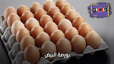 بورصة البيض | سعر كرتونة البيض الأبيض والأحمر اليوم الثلاثاء 2019/12/3
