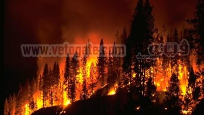 أشعلا النار في محصول الأرز انتقامًا من جارهما