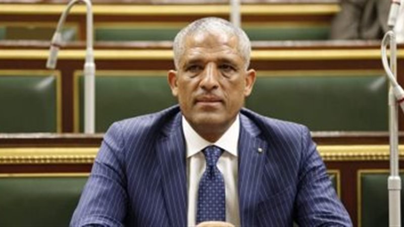 النائب محمد الحسينى،