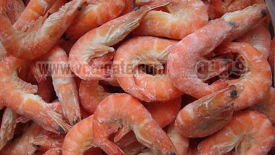 5 جنيهات انخفاضًا في سعر الجمبري و25 قرشًا للبلطي