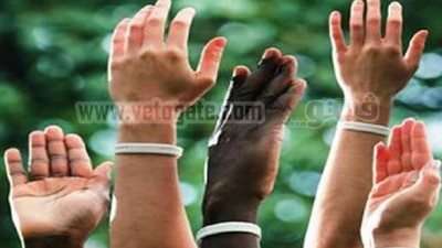 بمناسبة اليوم العالمي.. 