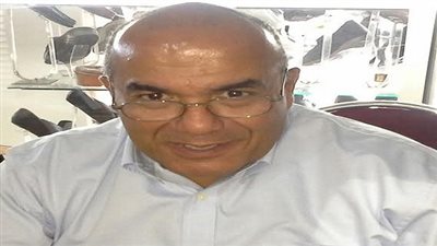 تجار الجيزة يخفضون الأسعار 25% احتفالا بافتتاح قناة السويس الجديدة