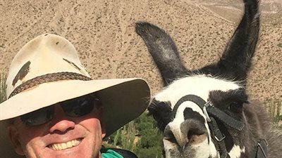 آلاف الذباب يغطي جسد جمل بصحراء أستراليا (فيديو وصور)