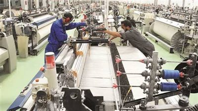 خبراء: مبادرات 