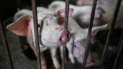 لتعويض العجز.. الصين تصنع 