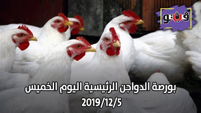 بورصة الدواجن الرئيسية اليوم الخميس 2019/12/5