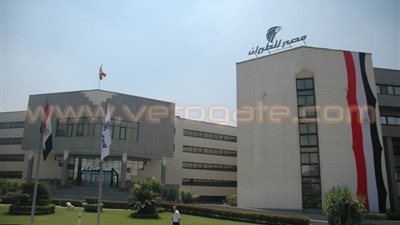 بالصور.. «مصر للطيران» تتزين بعلم مصر وشعار قناة السويس الجديدة