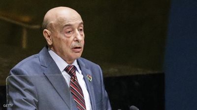 رئيس البرلمان الليبي يصل مطار القاهرة على متن طائرة خاصة