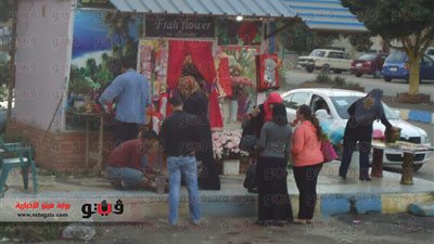 بالصور.. محاكمة المعزول لم تمنع تبادل الورود في عيد الحب بالإسماعيلية