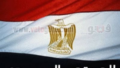 صياغة الدستور : عرض مشروعات القوانين على مجلس الدولة