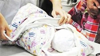 نهشتها الكلاب.. العثور على أشلاء جثة طفل حديث الولادة في الدقهلية