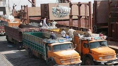 القمح الأوكراني يصل ميناء الإسكندرية