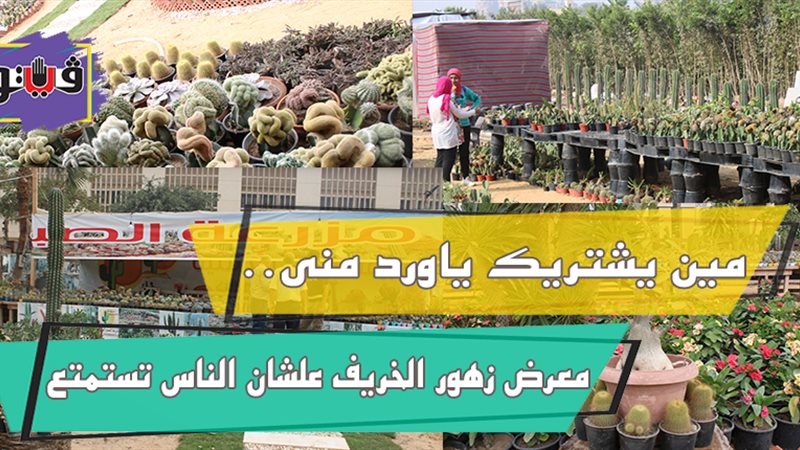 فيتو