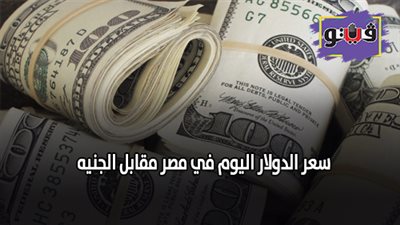 سعر الدولار اليوم في مصر مقابل الجنيه