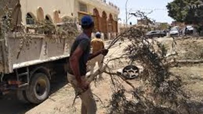 جهاز السادات يطرح ناتج المخلفات الشجرية في مزاد علنى