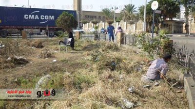 بالصور.. تكثيف حملات النظافة بأحياء بورسعيد