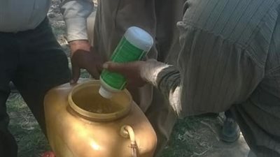 إزالة حالتي زراعة أرز مخالفتين في شربين بالدقهلية