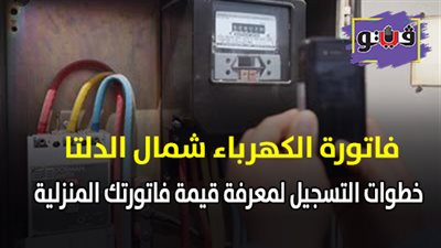 فاتورة الكهرباء شمال الدلتا| خطوات التسجيل لمعرفة قيمة فاتورتك المنزلية
