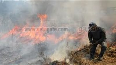 موسم «خنق» مصر.. 42 % من تلوث الهواء سببه «السحابة».. «الصحة» تتهم «الداخلية والبيئة».. «تاج الدين»: دخان «قش الأرز» يسبب الوفاة