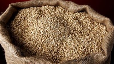 السعودية تطرح مناقصة لشراء 495 ألف طن من القمح الصلد