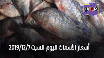 اسعار الأسماك اليوم السبت 2019/12/7