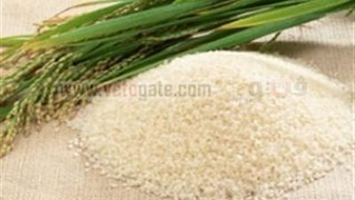 البت فى مناقصة توريد الأرز التموينى اليوم