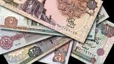 حمزة: الضريبة التصاعدية على كبار رجال الأعمال ..  ضرورة