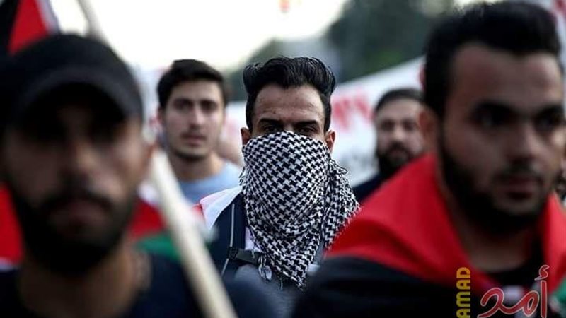 فيتو