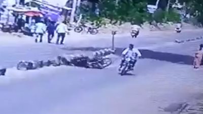 كلب يتسبب في حادث مروع لسائق دراجة نارية (فيديو)