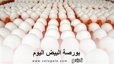 بورصة البيض اليوم | اسعار البيض الأبيض والأحمر اليوم 2019/12/8